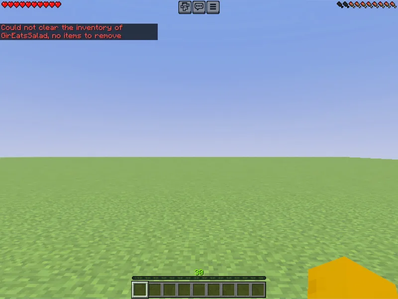 Player health reduced by /damage in Minecraft (before)