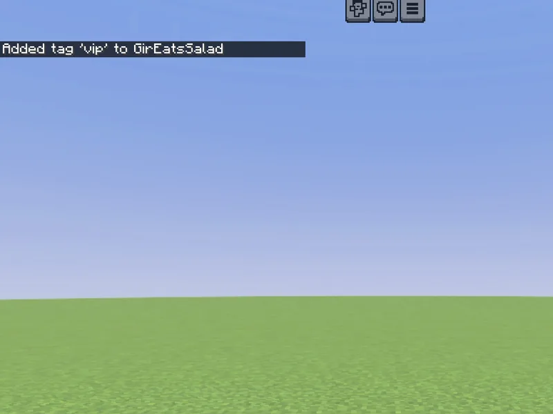 /tag adding a tag to the player in Minecraft (after)