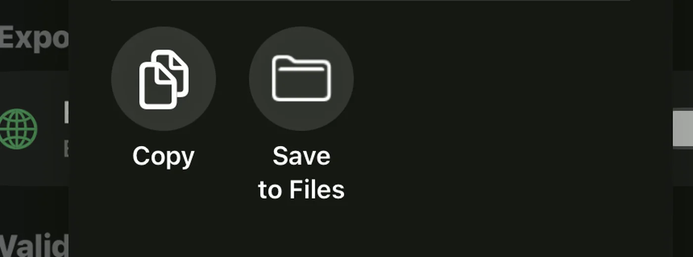 Copy and Save to Files options in the iOS share sheet