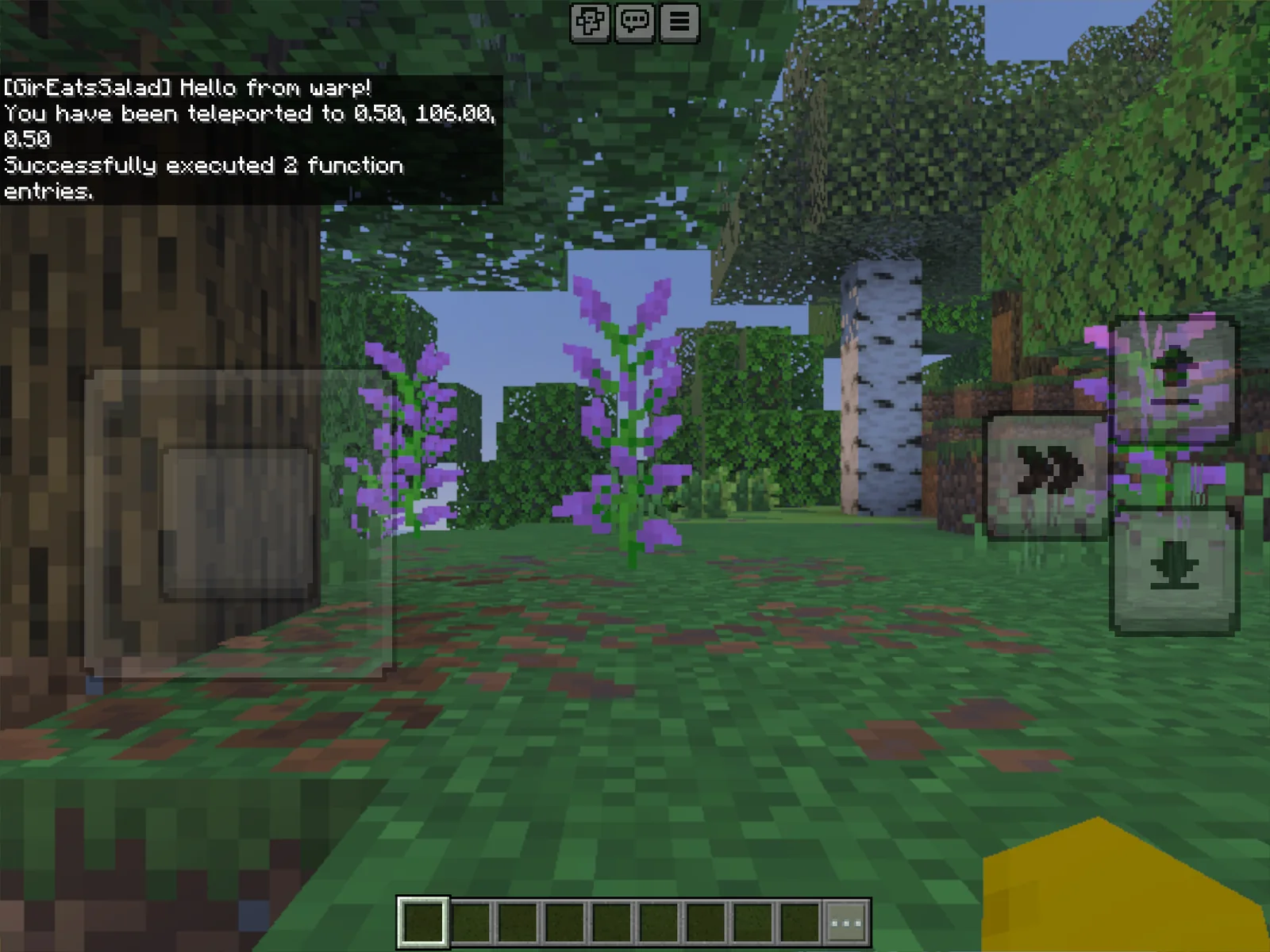 Chat confirms the player was teleported and the function executed